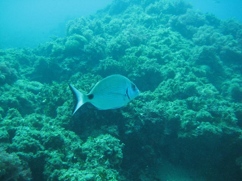 2009-09-08 13-25-42S.JPG
